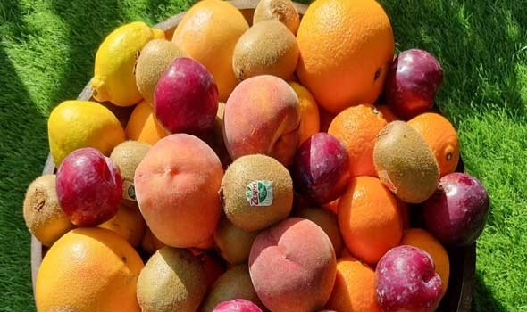 فوائد ومخاطر النظام الغذائي المعتمد على الفاكهة